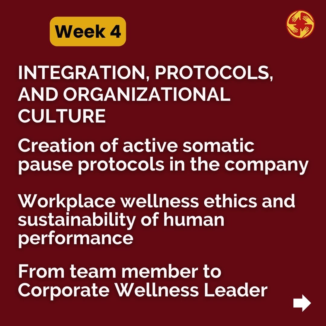 Week 4 — Integration, protocols and organizational culture