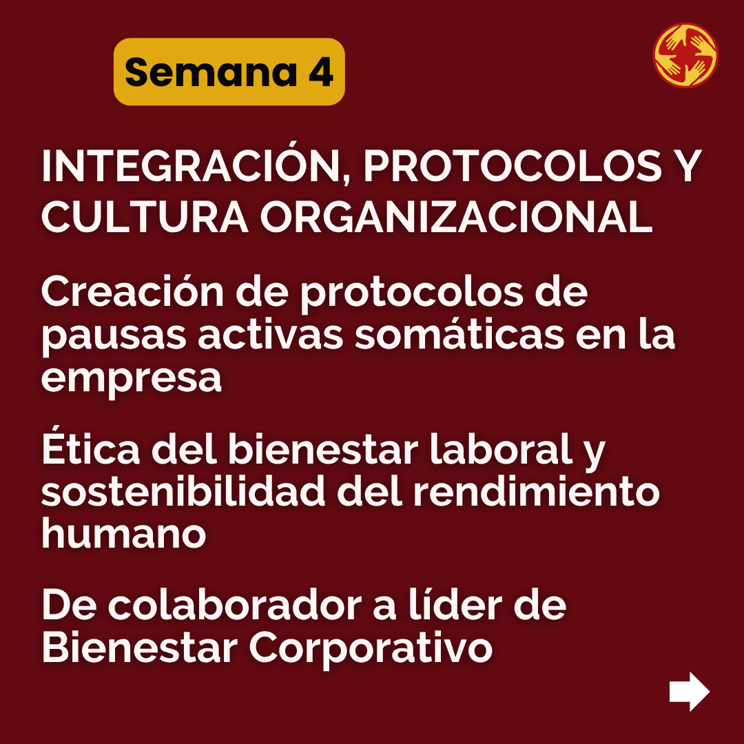 Semana 4 — Integración, protocolos y cultura organizacional