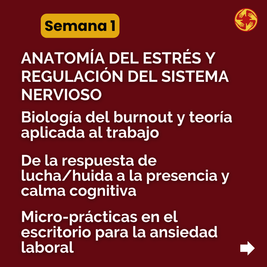 Semana 1 — Anatomía del estrés y regulación del sistema nervioso