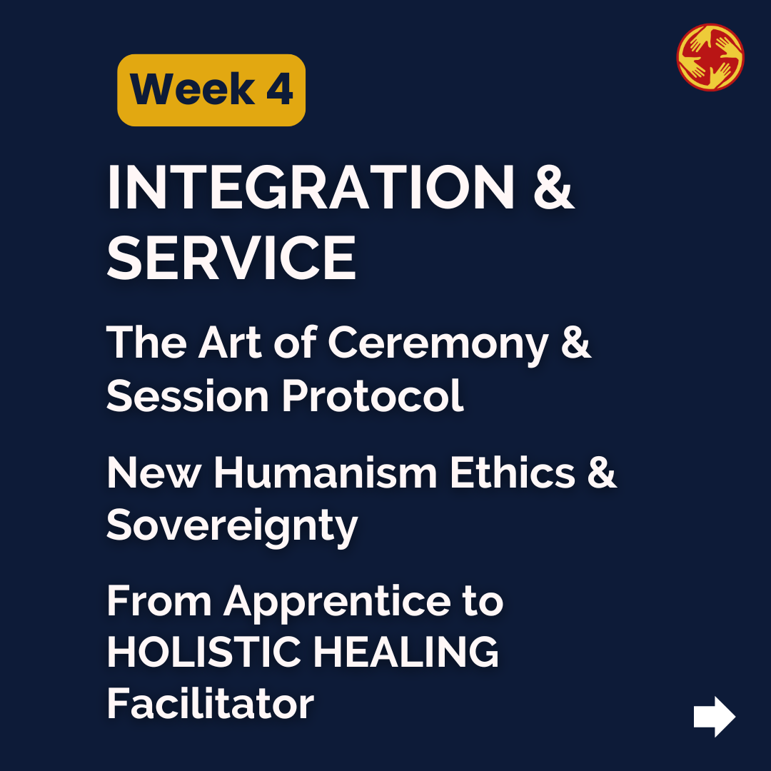 Week 4 - Integration & Service